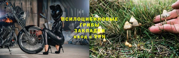 прущая мука Бугульма